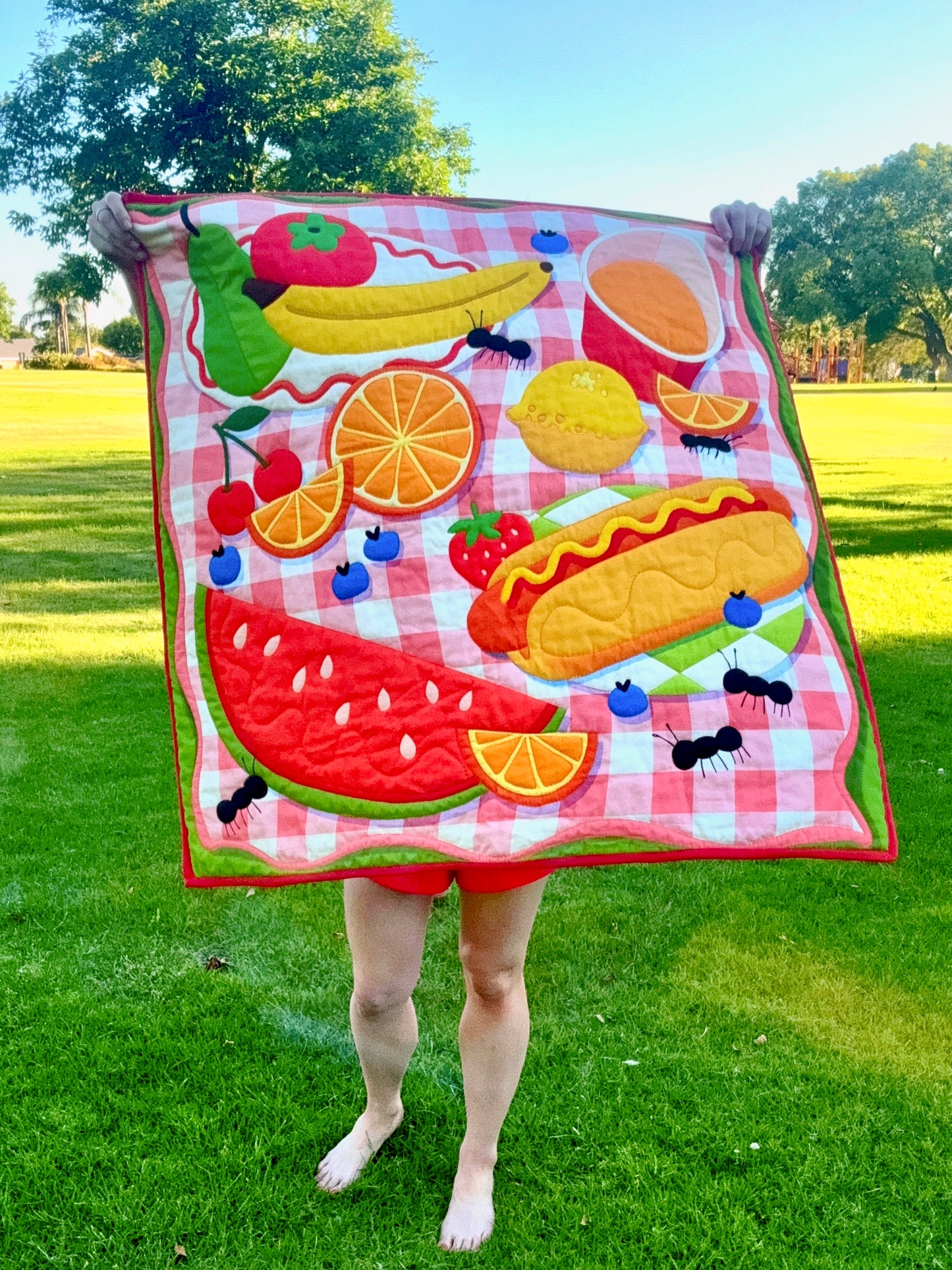 Picnic Quilt Kit